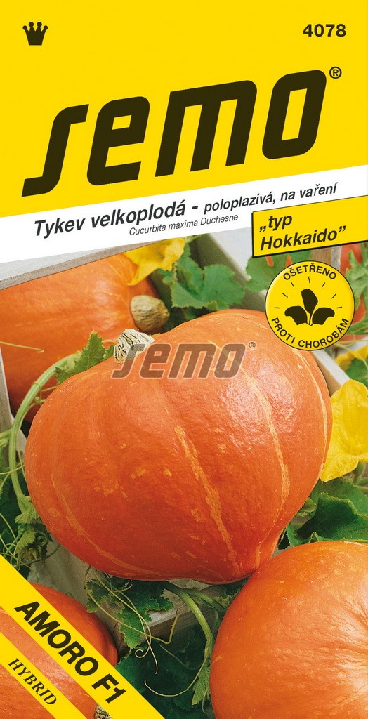 Tykev velkoplodá AMORO F1 - typ "Hokkaido" poloplazivá