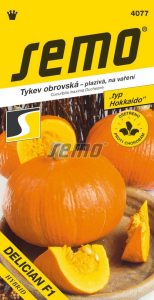 Tykev velkoplodá DELICAN F1 - typ "Hokkaido" plazivá