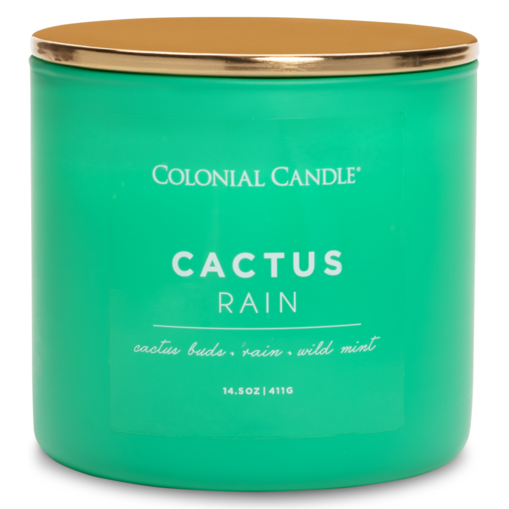 Sójová svíčka Cactus Rain - 411g