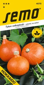 Tykev HOKKAIDO ORANGE - plazivá, na vaření