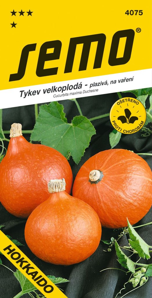 Tykev HOKKAIDO ORANGE - plazivá, na vaření