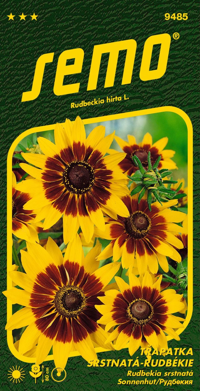 Třapatka srstnatá - rudbekie GLORIA DAISY - 90 cm, k řezu