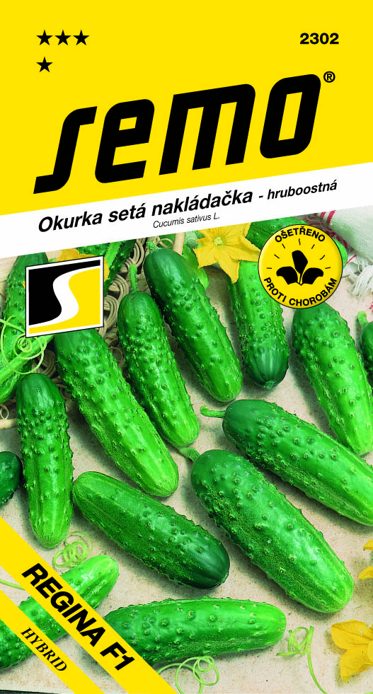 Okurka nakládačka REGINA F1 – hruboostná