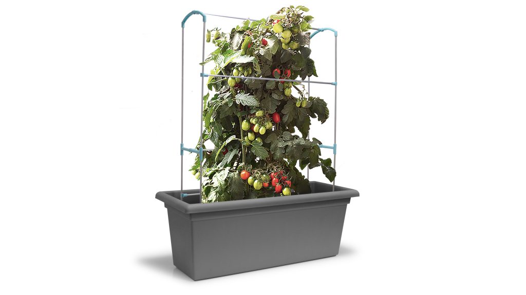 Podpora pro růst rostlin pro Magnus 80 cm
