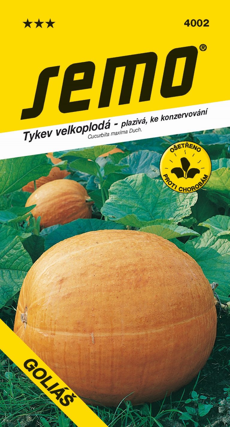Tykev GOLIÁŠ - dýně plazivá,velkoplodá