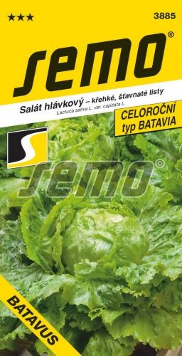 Salát hlávkový BATAVUS - profi, celoroční pěstování, hlávka střední