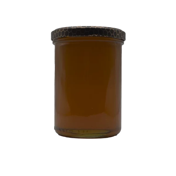 wpml test 13 Lesní med 570 g — Bylinkový Koš