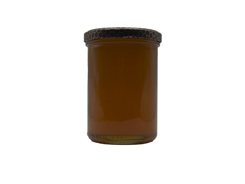 Lesní med 570 g