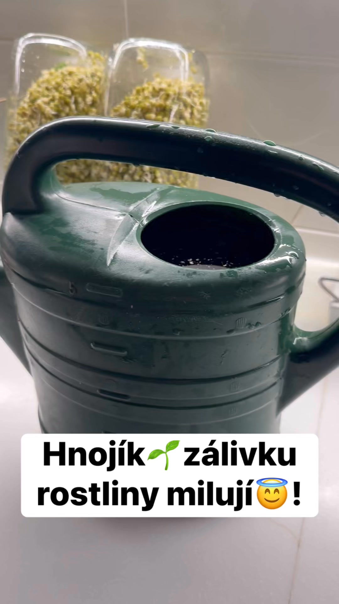 Facebook příspěvek HNOJIK.CZ