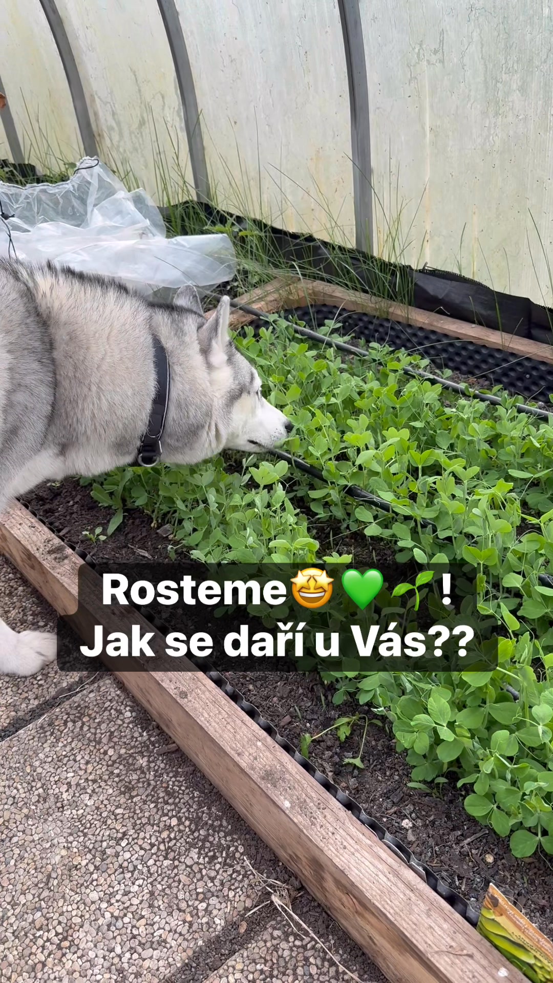 Facebook příspěvek HNOJIK.CZ