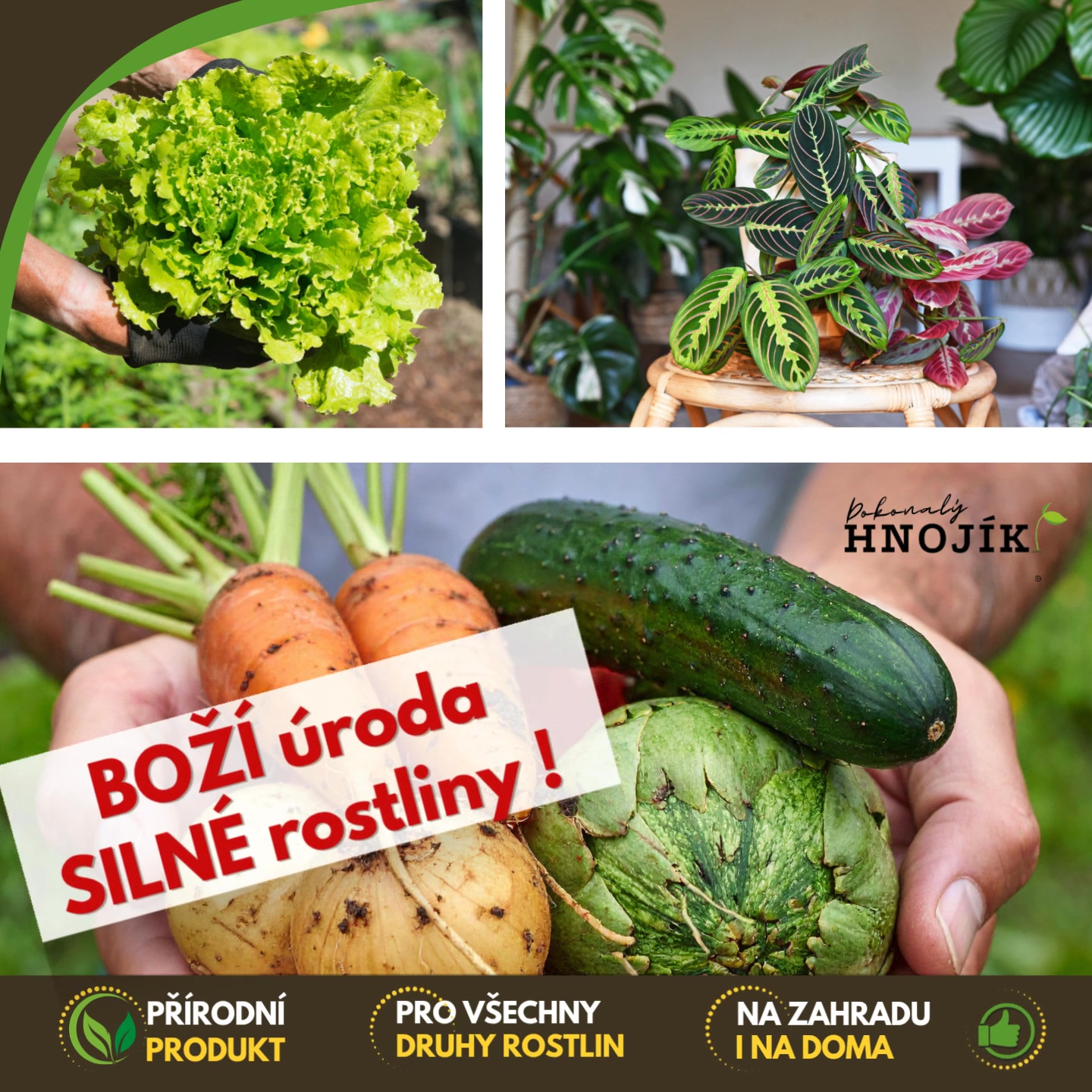 Facebook příspěvek HNOJIK.CZ