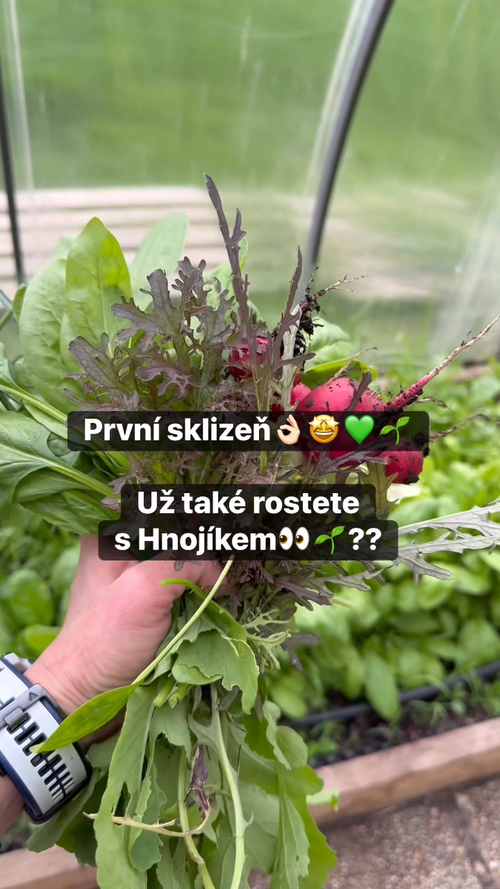 Facebook příspěvek HNOJIK.CZ