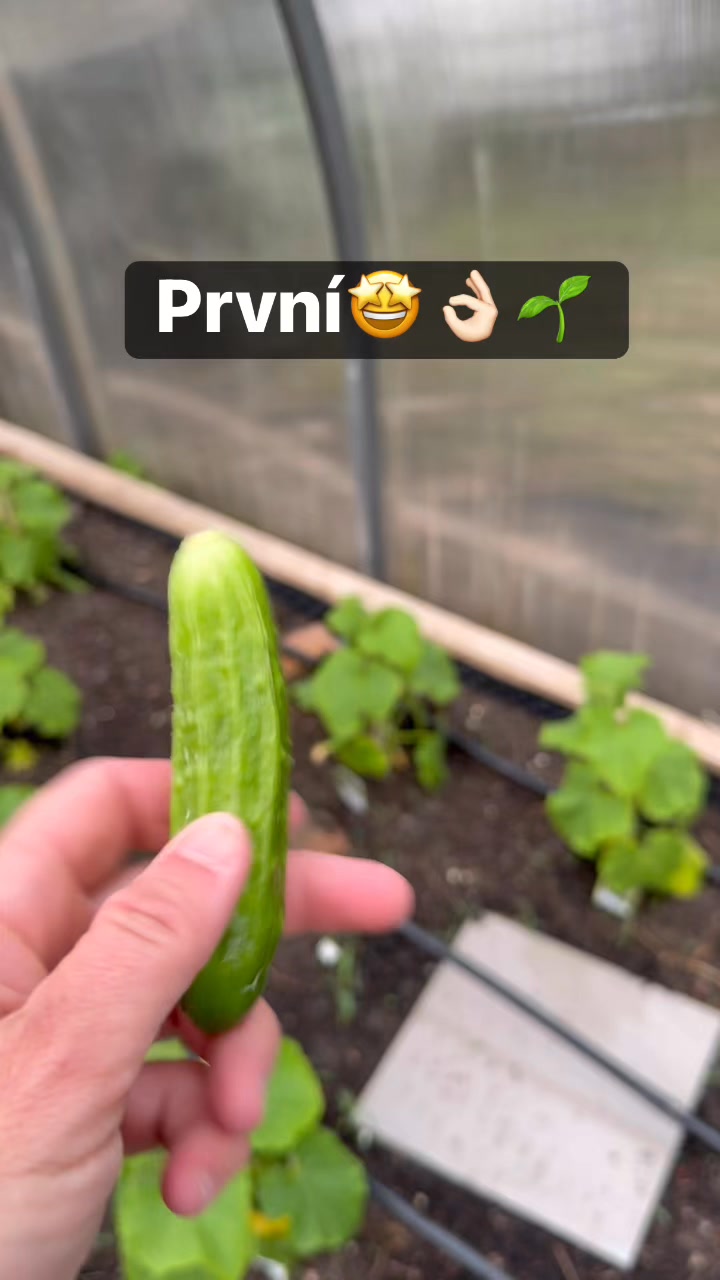 Facebook příspěvek HNOJIK.CZ