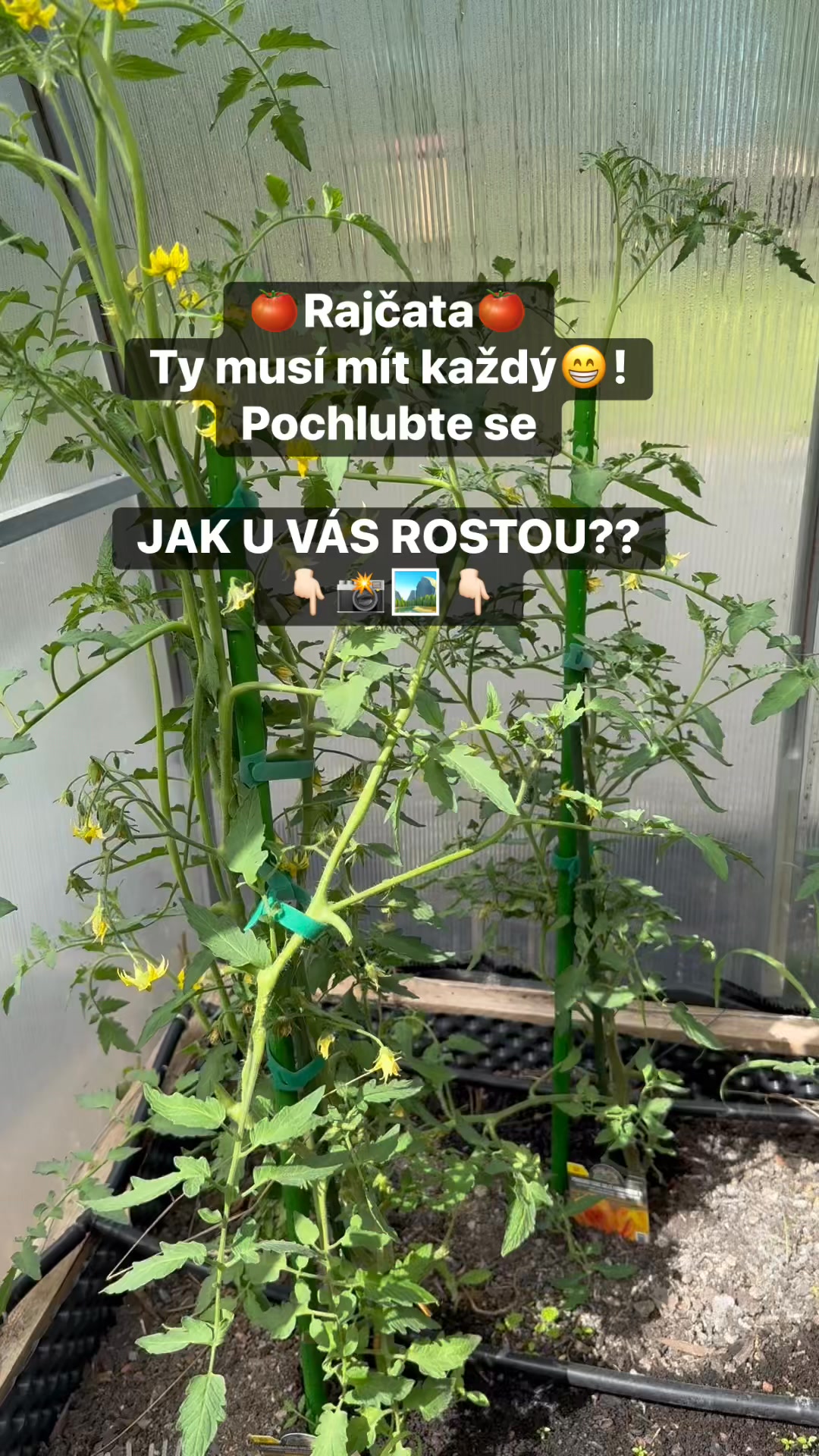 Facebook příspěvek HNOJIK.CZ