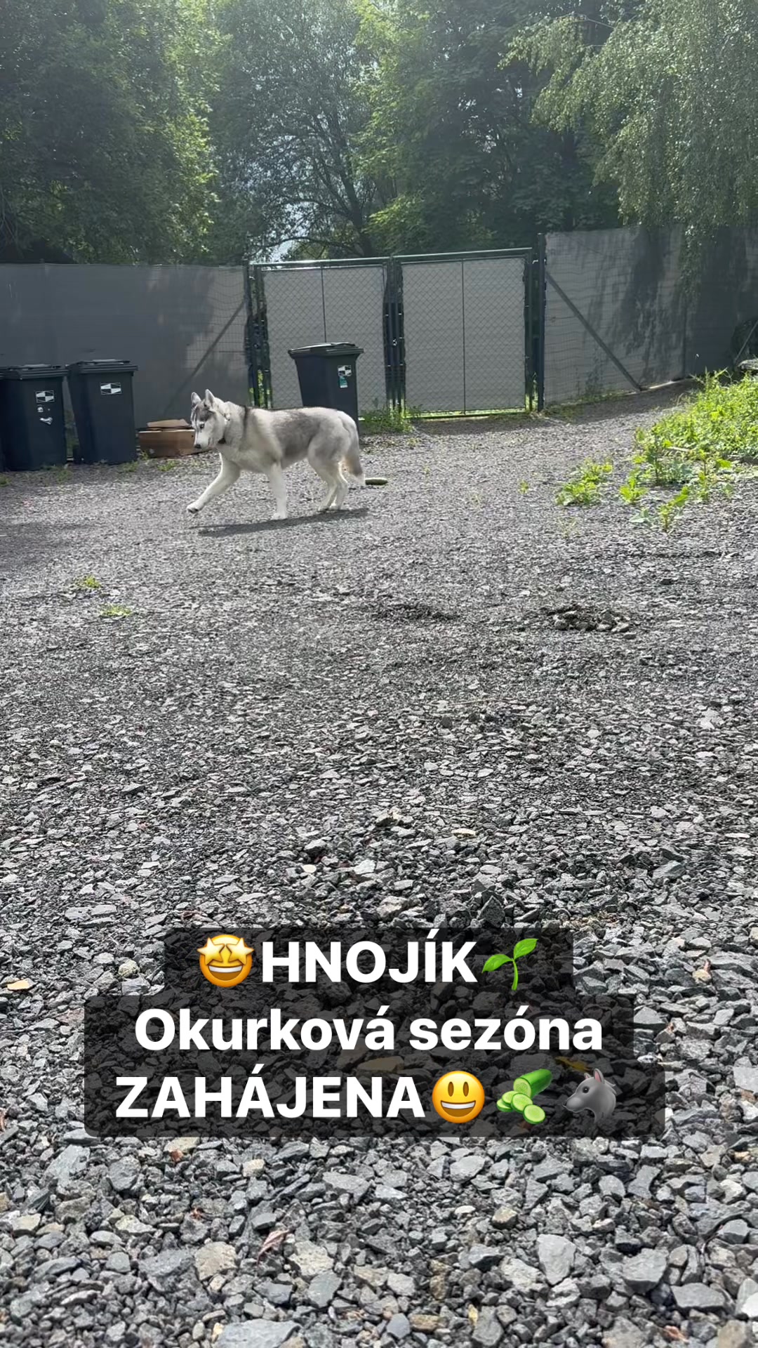 Facebook příspěvek HNOJIK.CZ