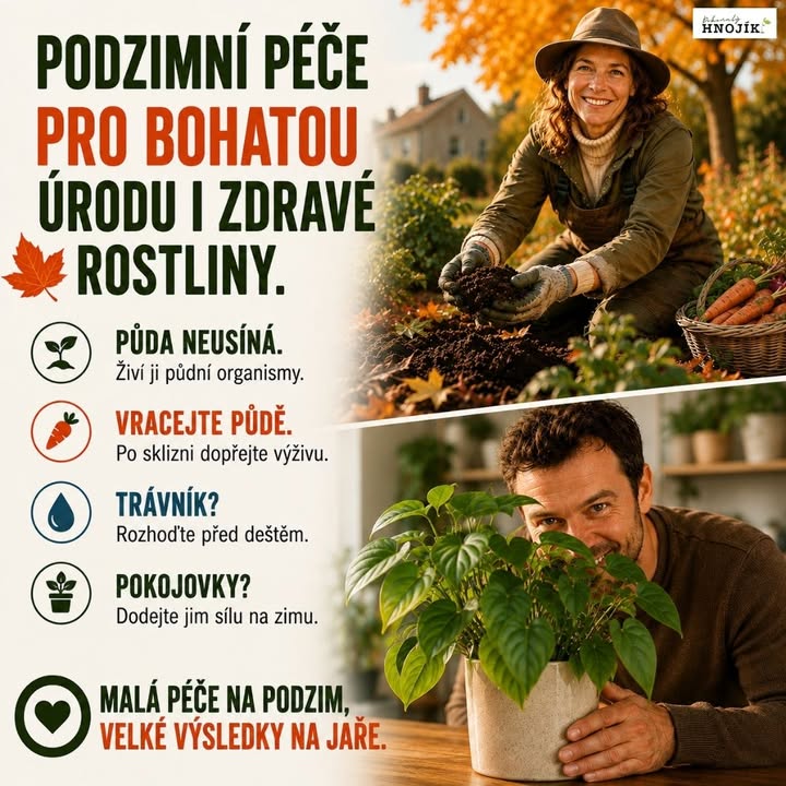 Facebook příspěvek HNOJIK.CZ