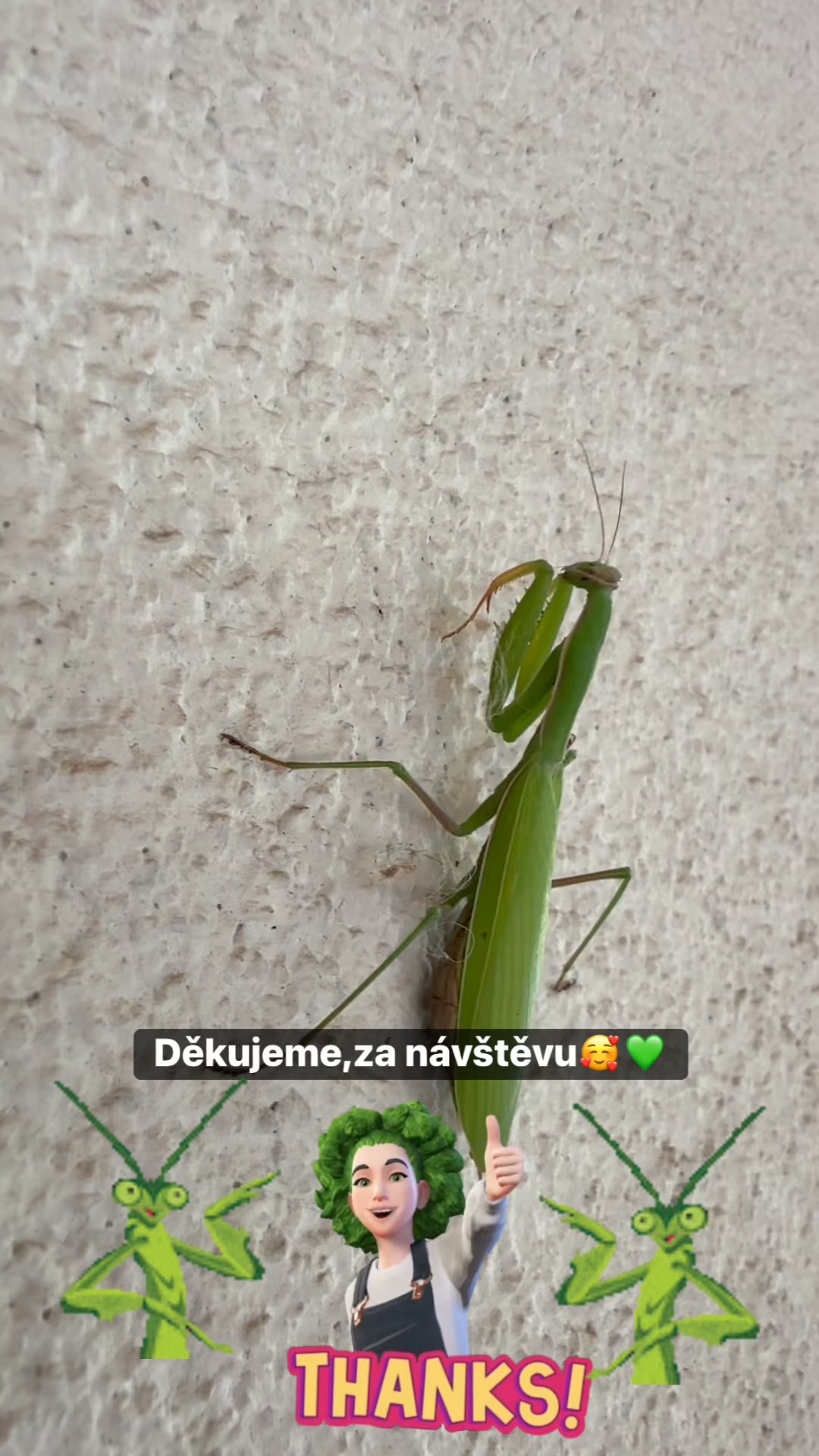 Facebook příspěvek HNOJIK.CZ
