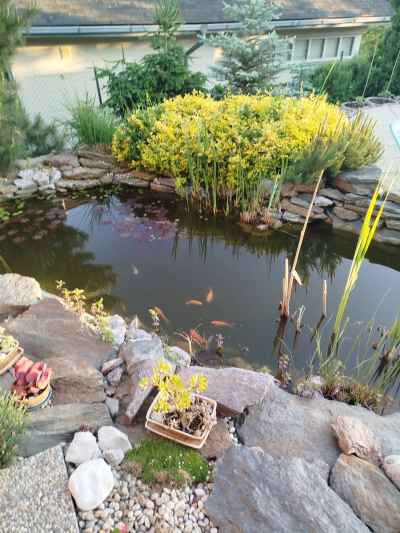 Fotka ze zahrádky